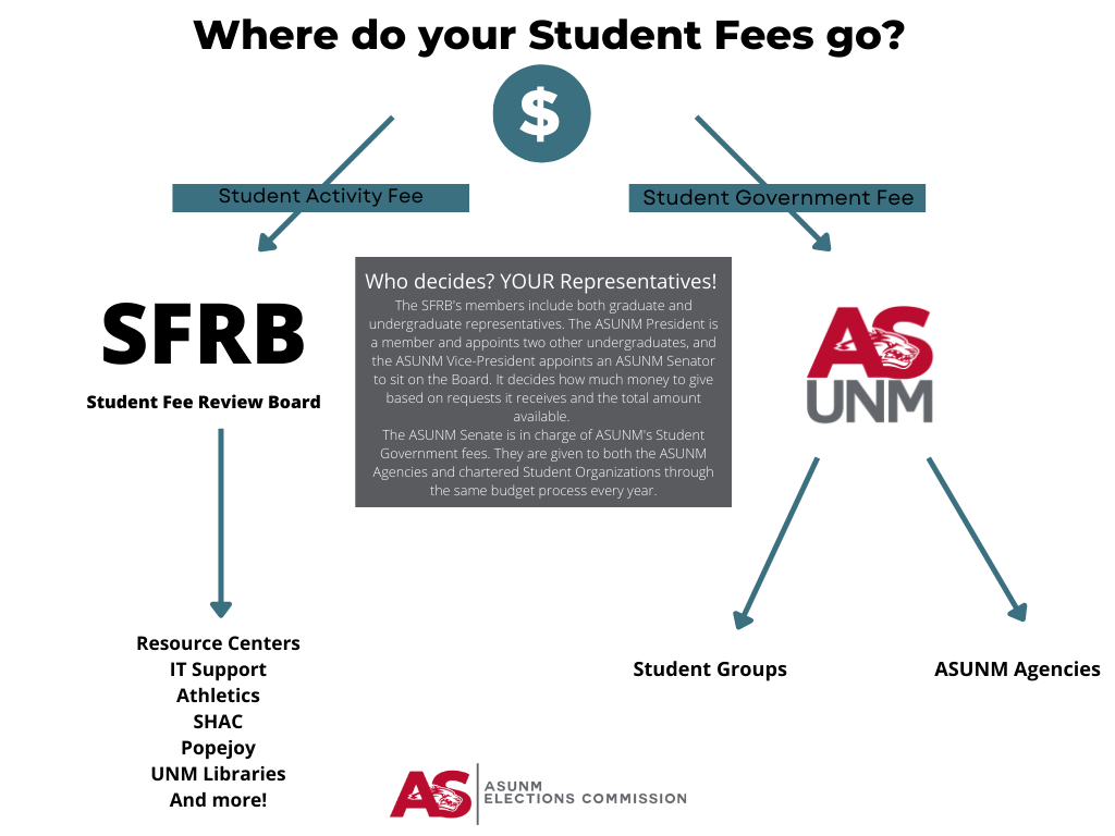 where-do-your-student-fees-go.png