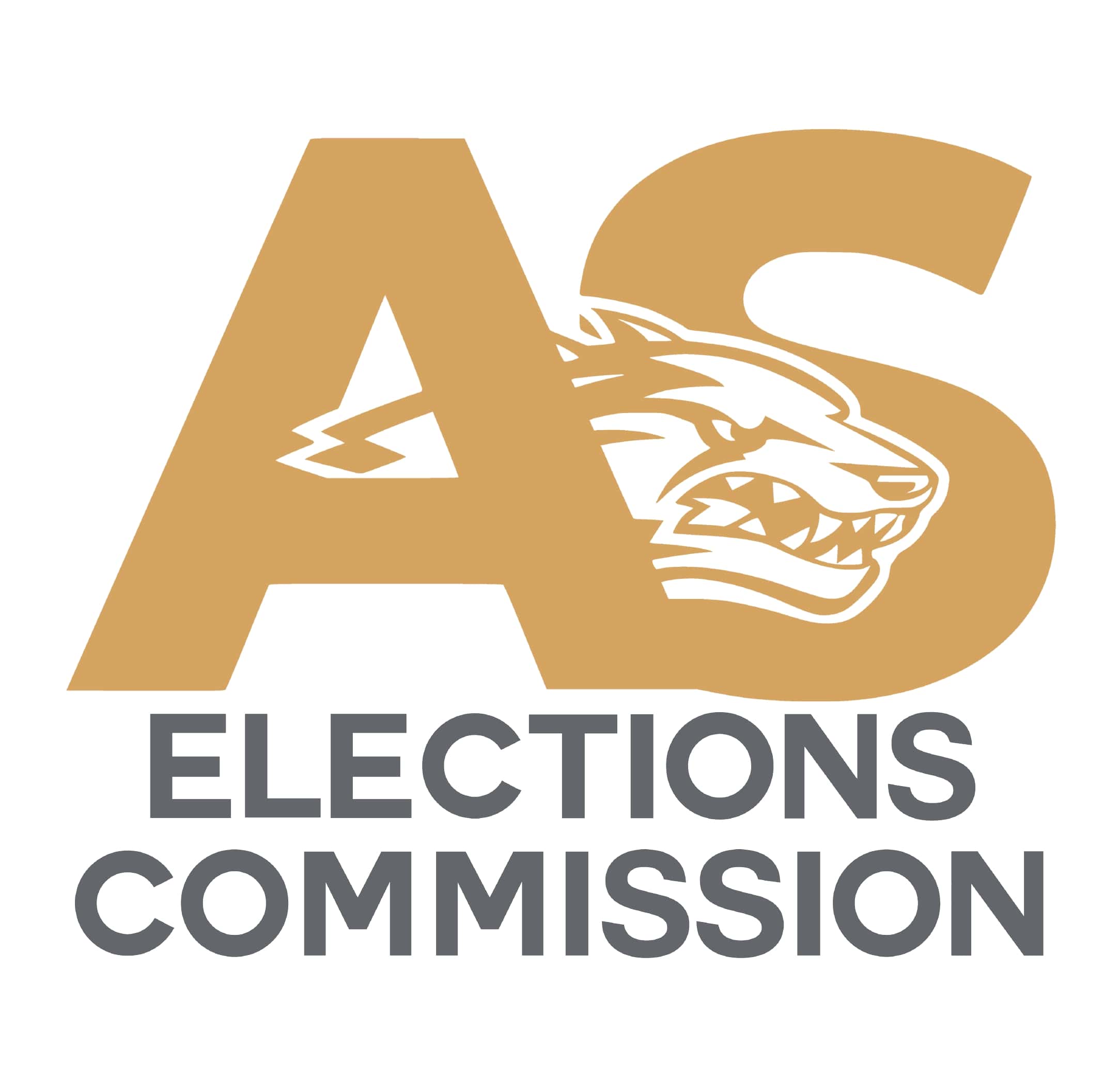 election-logo.jpg
